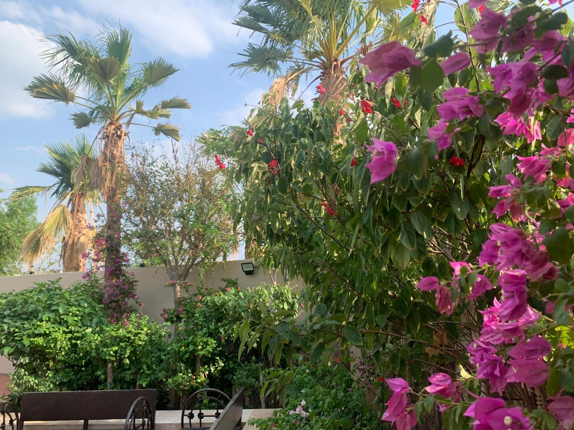 فيلا المنزل Villa